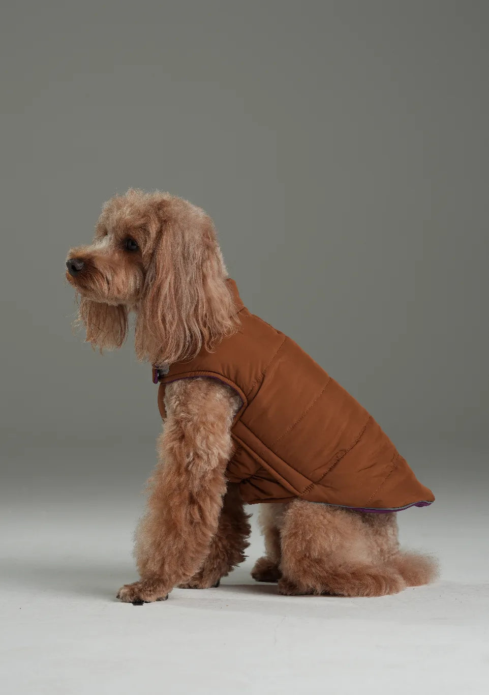 Reversible dog vest in caramel brown, featuring a quilted design and adjustable fit for comfort during outdoor activities.