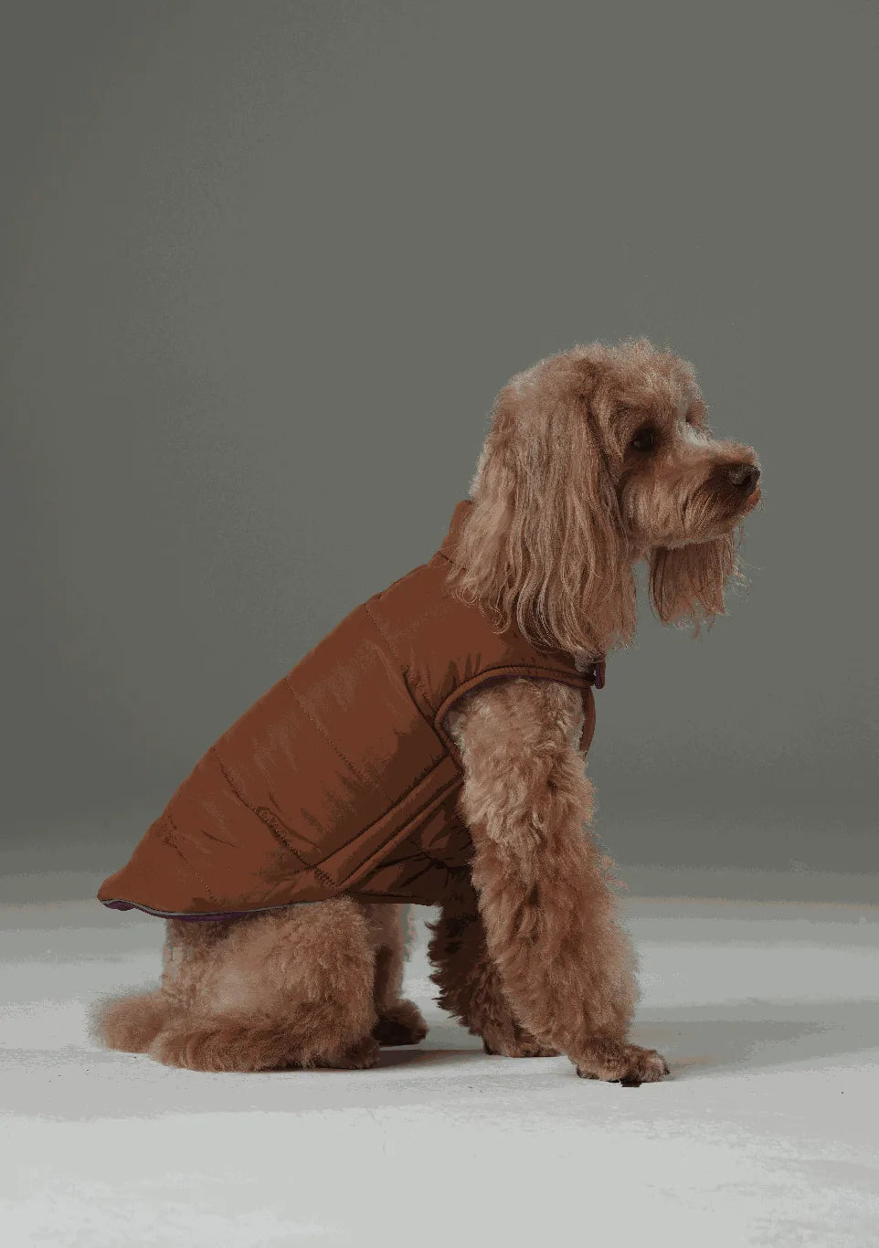 Reversible dog vest in brown, featuring a quilted design, adjustable fit, and soft material for comfort in cold weather.