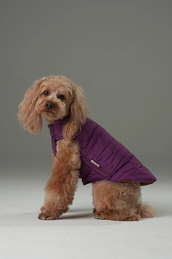 Reversible dog vest jacket in purple caramel, featuring a cozy design and reflective accents for outdoor visibility.