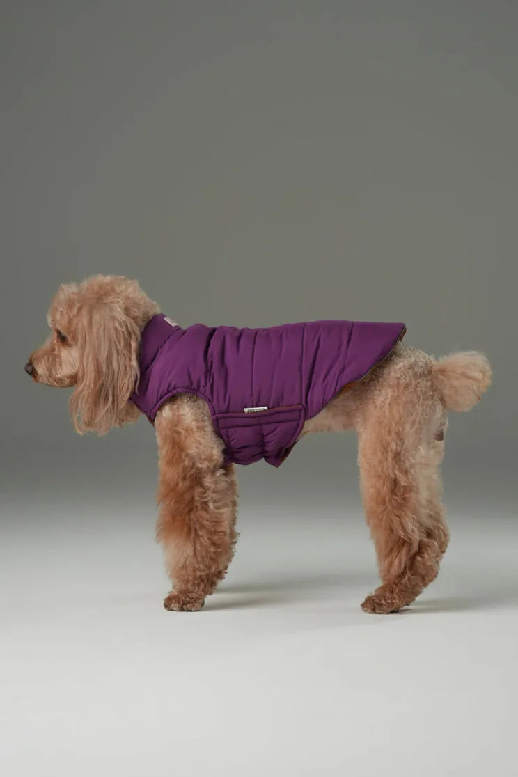 Reversible dog vest jacket in purple caramel, featuring a water-repellent design on a fluffy dog.