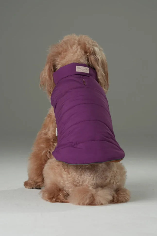 Reversible dog vest jacket in purple, featuring a cozy, padded design perfect for outdoor walks.