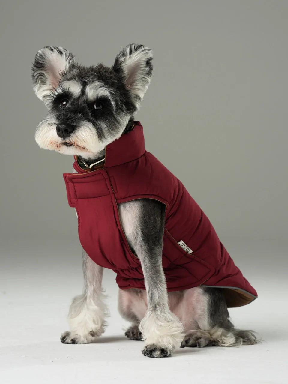 Reversible dog vest jacket in dark red, featuring a snug fit and soft lining, perfect for outdoor activities.
