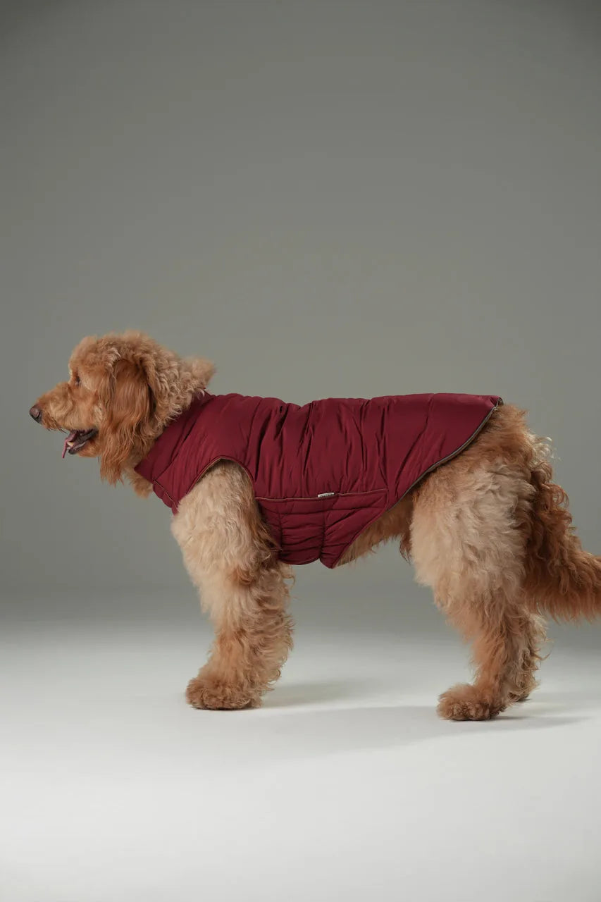 Reversible red-brown dog vest jacket featuring a quilted design, perfect for outdoor activities in cold weather.