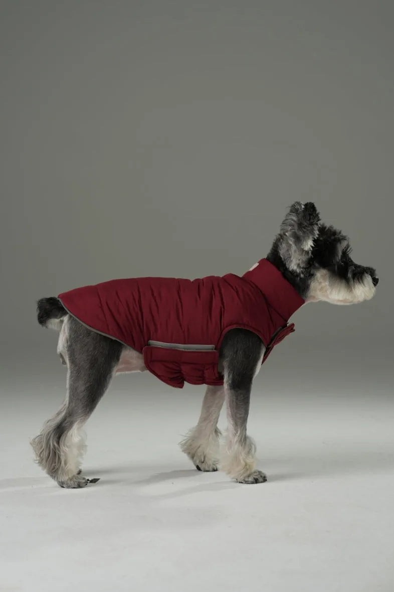 Reversible red-brown dog vest jacket on a dog, featuring a snug fit, adjustable strap, and windproof design.