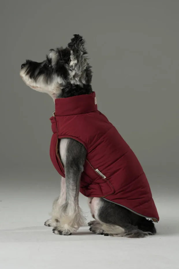 Reversible red brown dog vest jacket featuring a high collar and padded design, perfect for chilly outdoor walks.