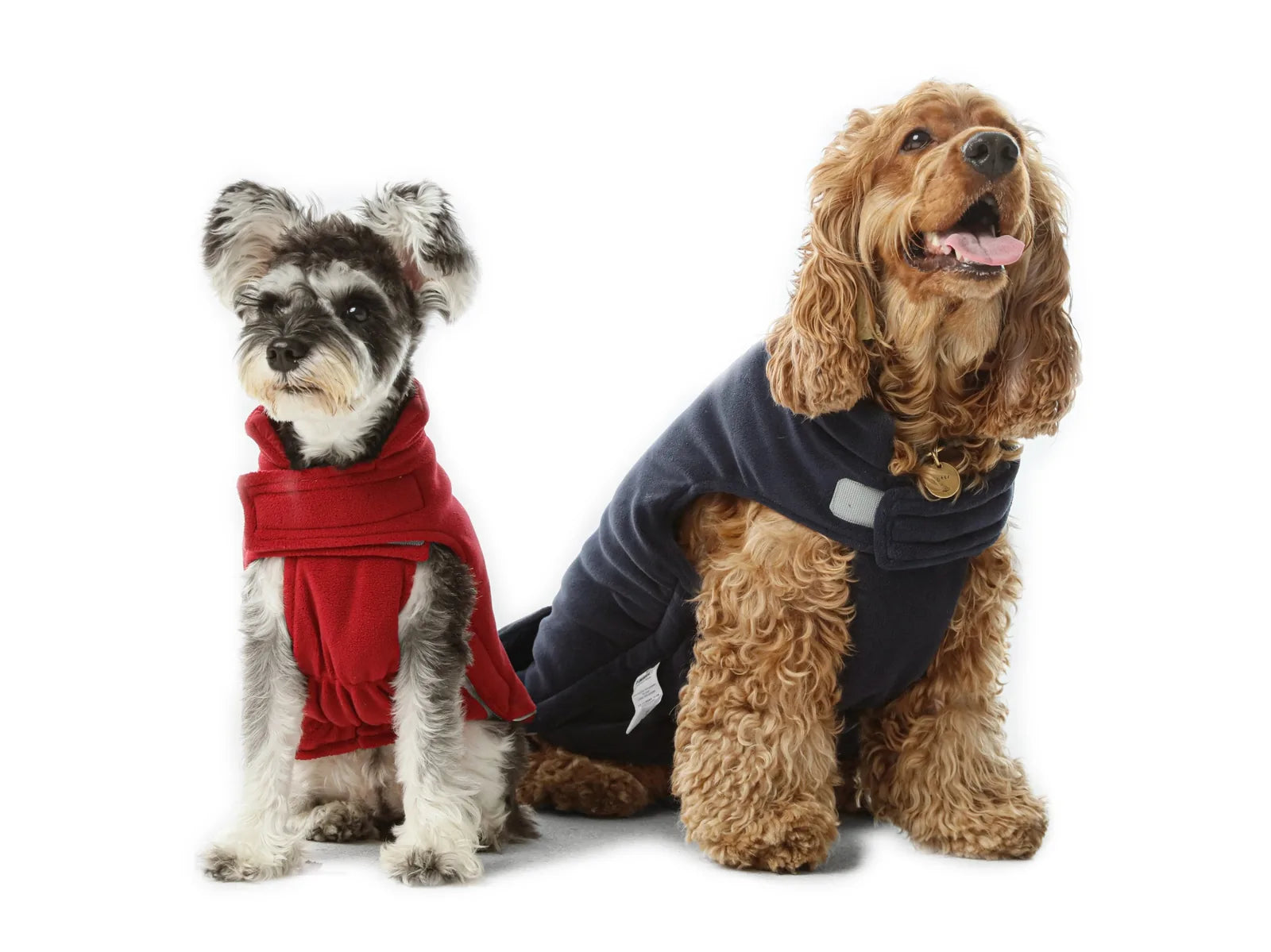 Reversible red dog vest jacket on a small schnauzer and a large cocker spaniel, featuring thick fleece lining and Velcro c...