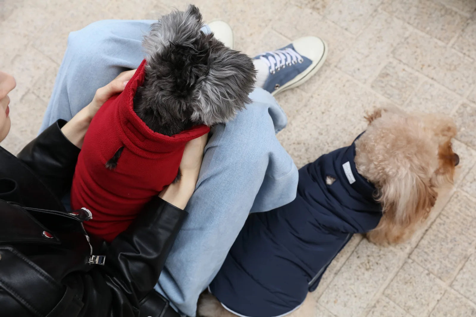 Reversible red dog vest jacket worn by a small dog, featuring thick fleece and a snug fit for warmth.