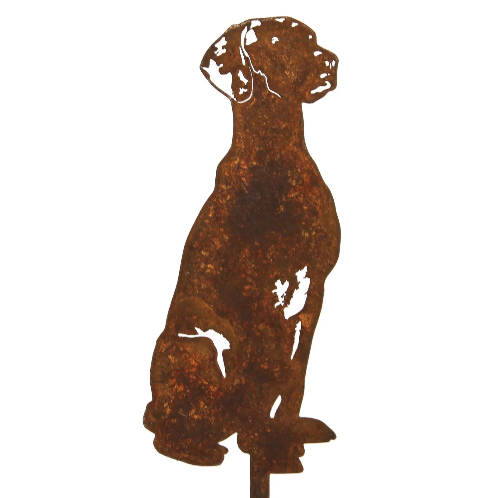 Rust-colored metal silhouette of a Rhodesian Ridgeback dog, showcasing intricate details and a classic sitting pose.
