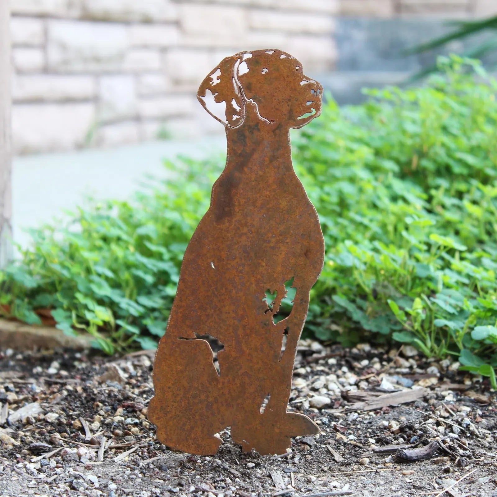 Rhodesian Ridgeback metal silhouette in rusted Corten steel, set against lush green foliage.