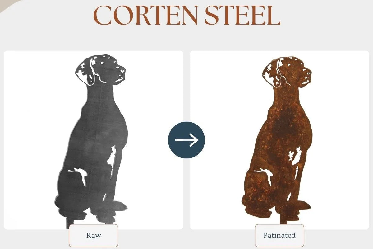 Rhodesian Ridgeback silhouette in raw Corten steel on the left and patinated finish on the right, showcasing metal wall art.