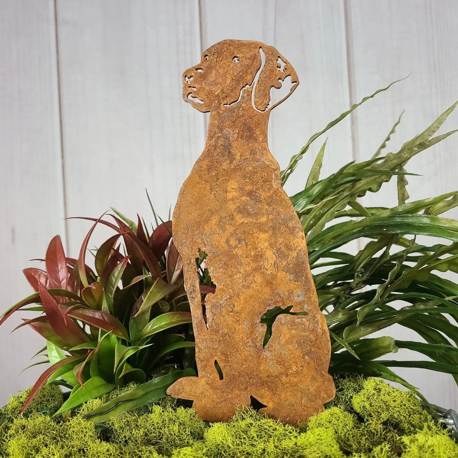 Rust-colored Rhodesian Ridgeback metal silhouette standing amid green plants, showcasing its detailed cutout design.