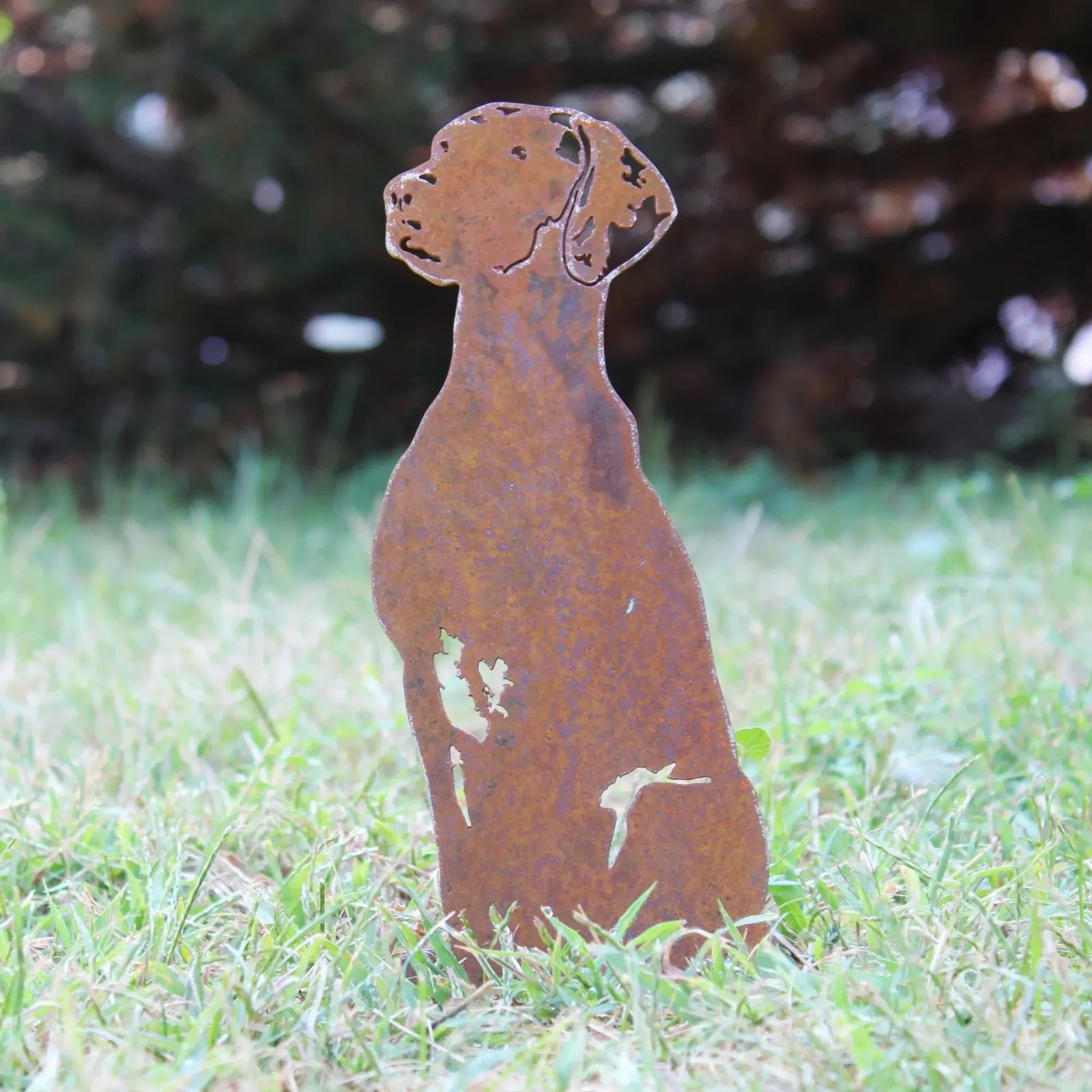 Rusty metal silhouette of a Rhodesian Ridgeback standing on grass, showcasing a weathered Corten steel finish.