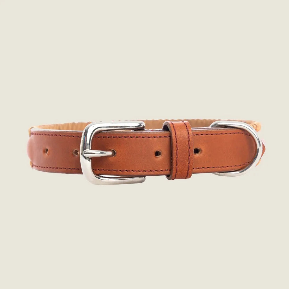 Caramel leather dog collar with stitched edging and silver metal clasp, designed for medium to large breed dogs.