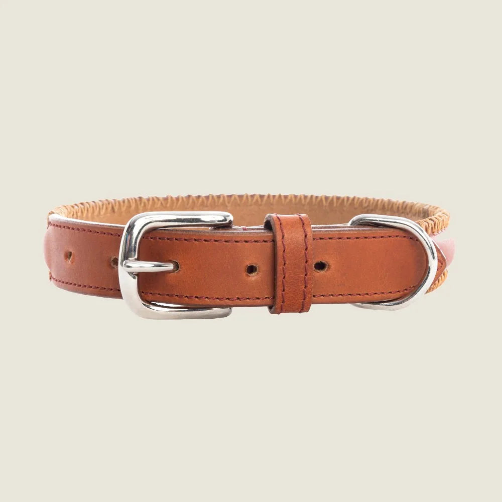 Caramel leather dog collar with stitched edging and metal clasp, designed for medium to large breeds.