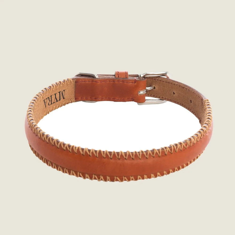 Stylish caramel leather dog collar with stitched edging and metal clasp, perfect for medium to large breeds.