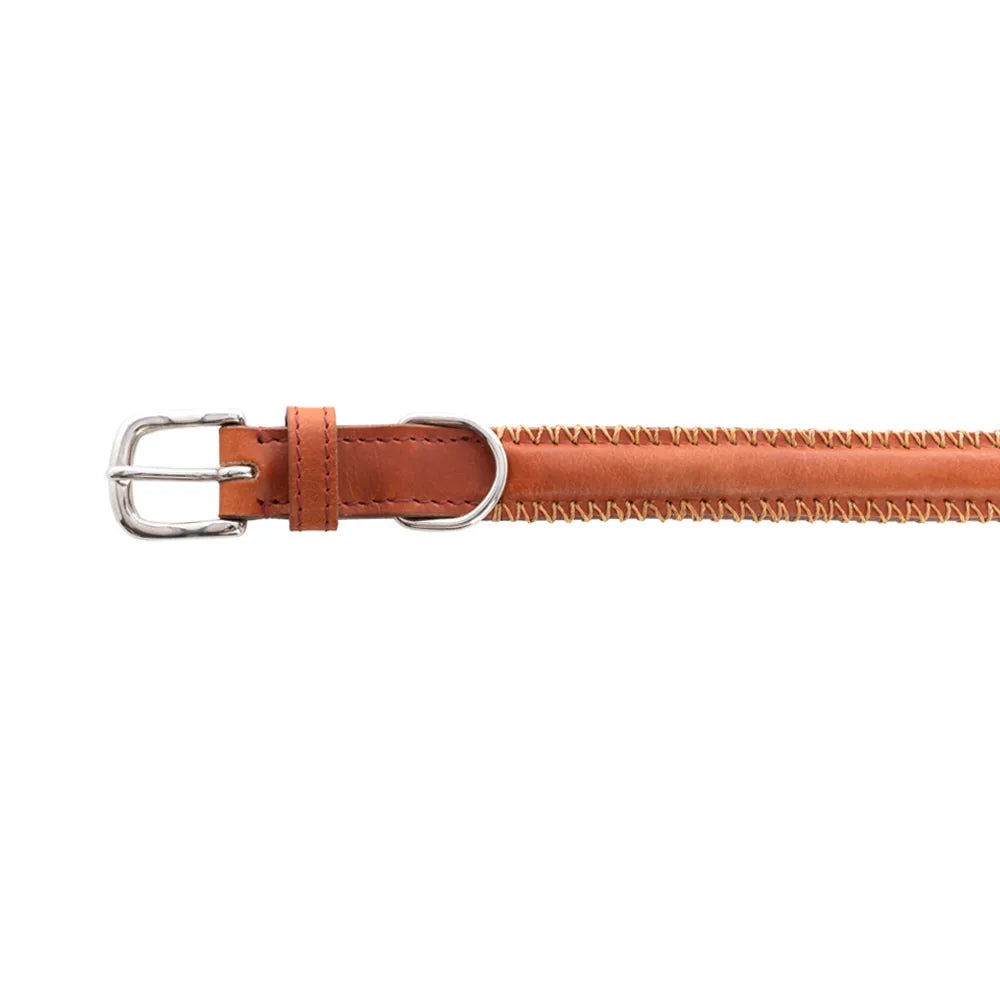 Caramel leather dog collar with stitched edging and metal clasp, designed for medium to large breed dogs.