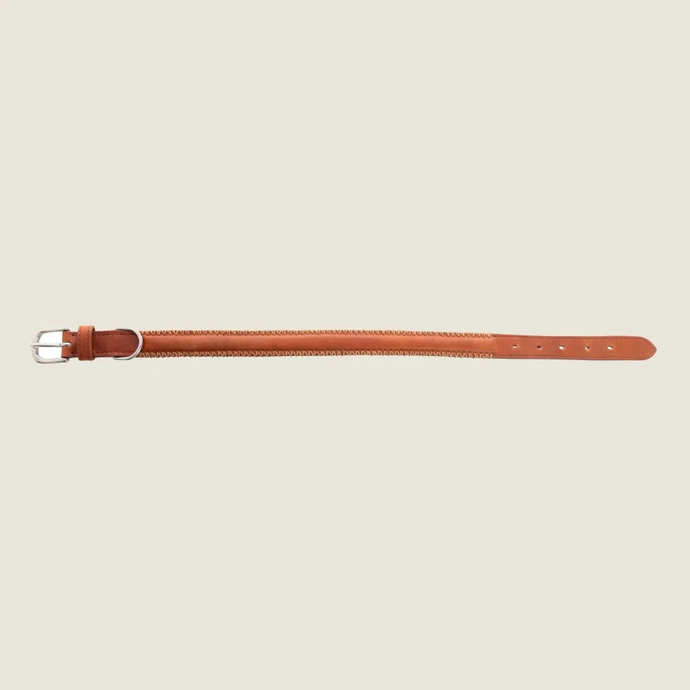 Caramel leather dog collar featuring stitched edging and a metal clasp for durability and easy wear.
