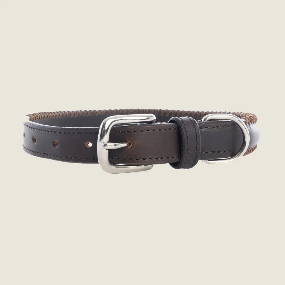 Chocolate leather dog collar with stitched edging and metal clasp for medium to large dogs.