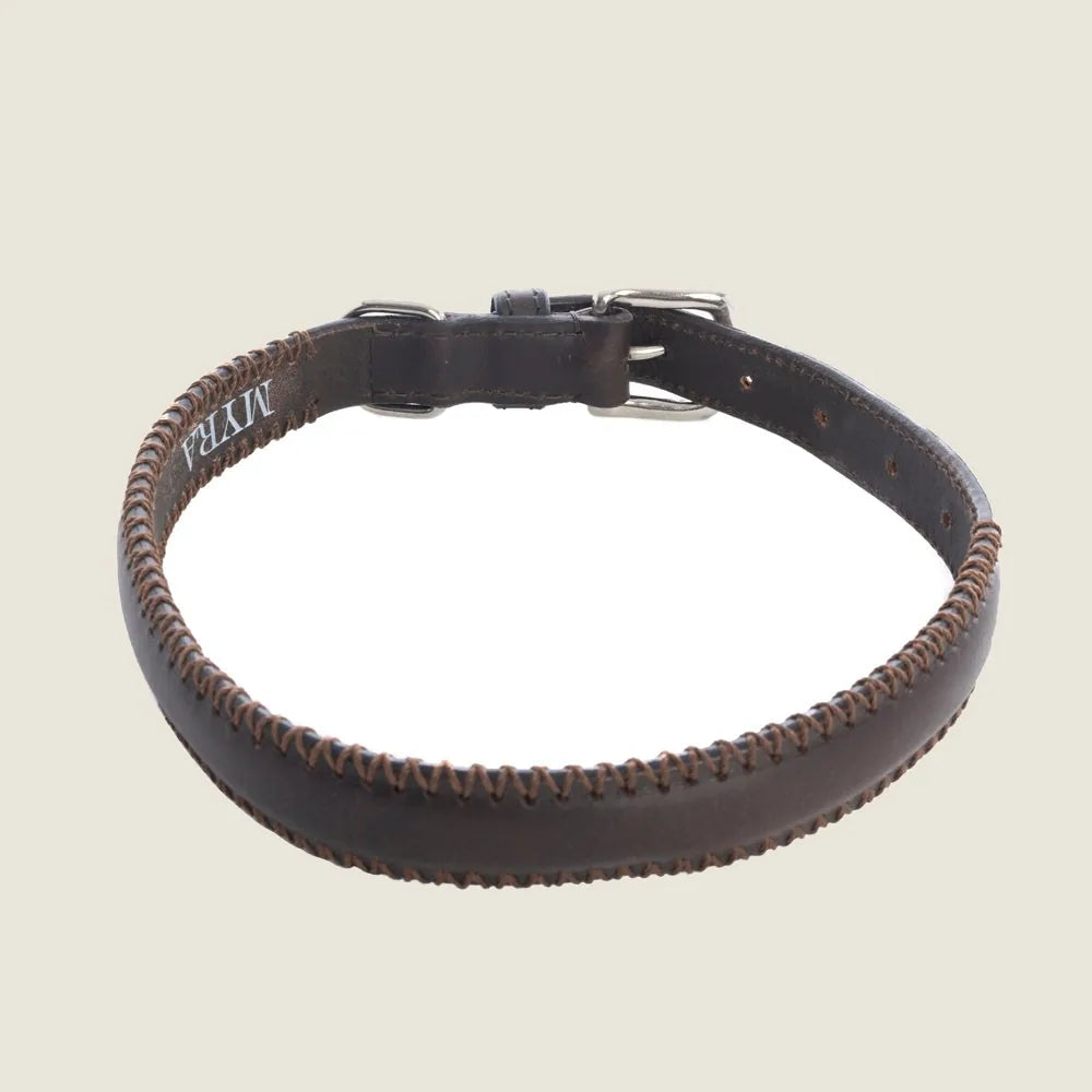 Chocolate leather dog collar with detailed stitched edging, featuring a metal clasp for durability and style.