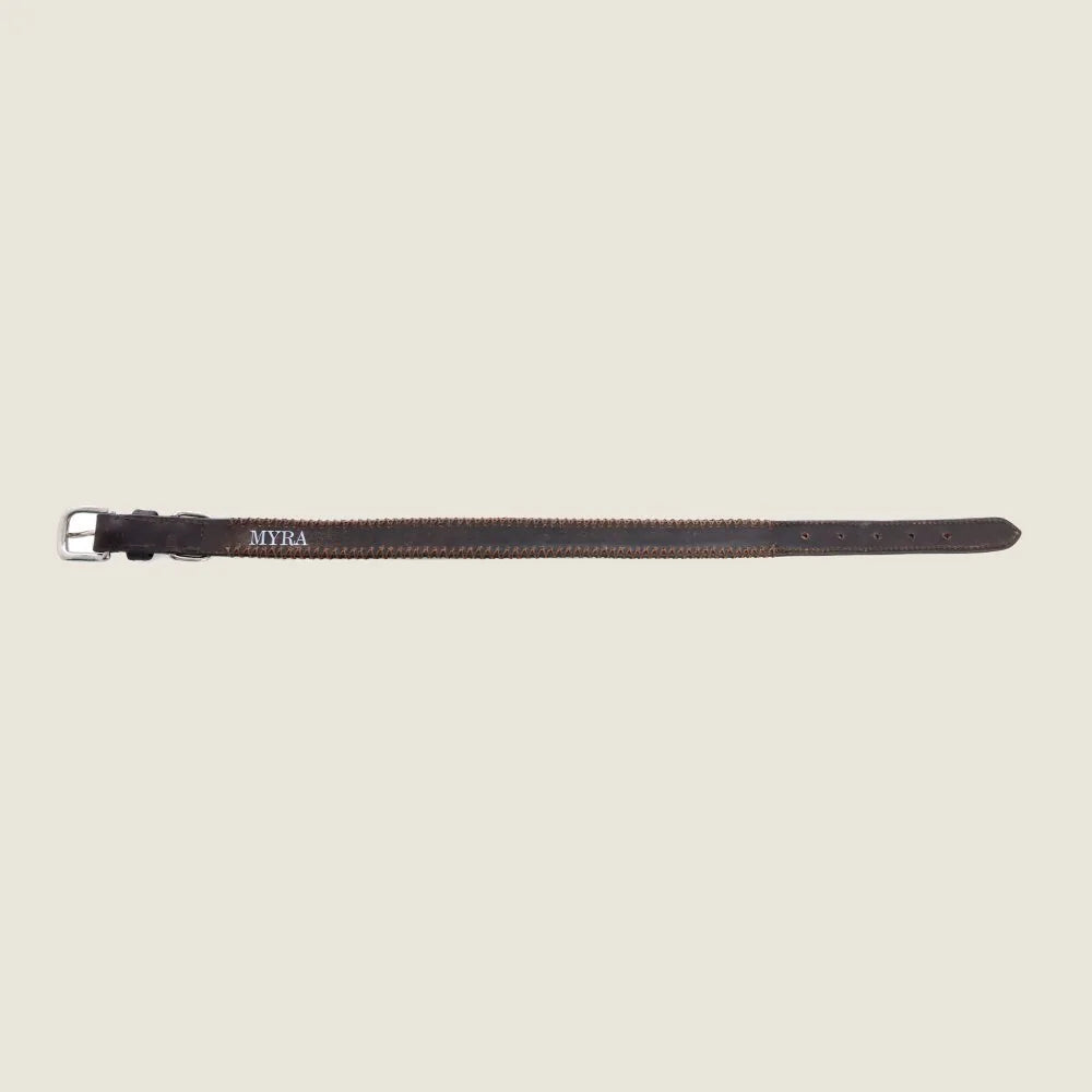 Chocolate leather dog collar with detailed stitched edging and adjustable length for medium to large dogs.