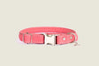 Rolled Style Pink Leather Quick-Release Dog Collar