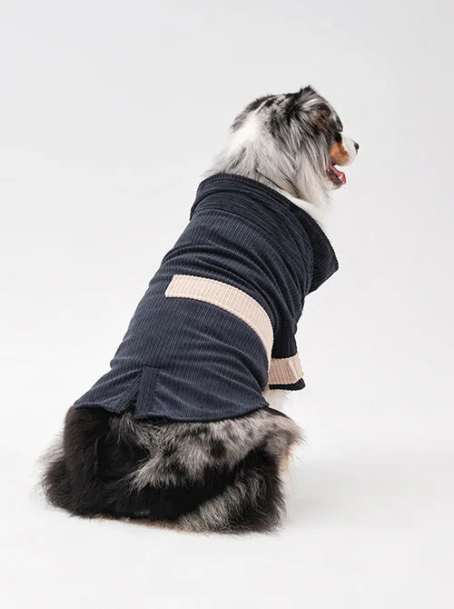 Blue beige velvet dog blazer with contrasting collar, featuring adjustable closures for a snug fit.