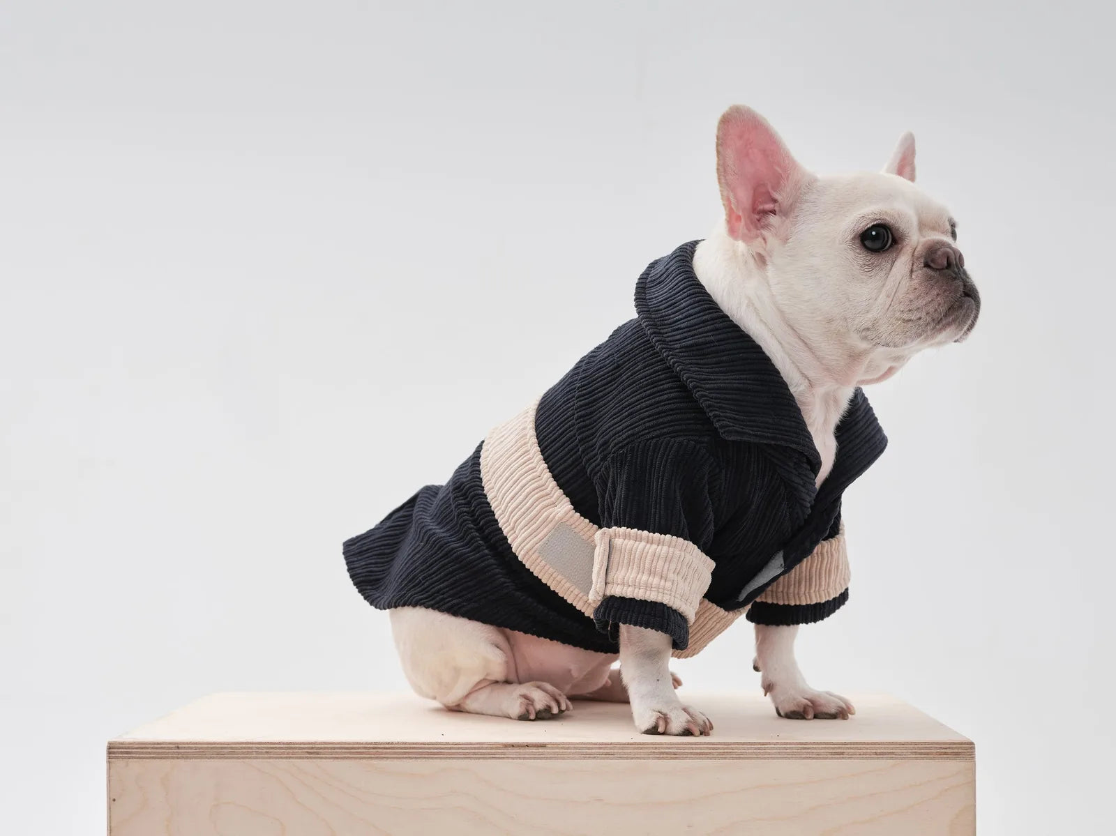 Velvet blue and beige dog blazer with a collar, featuring adjustable Velcro closures for a perfect fit.