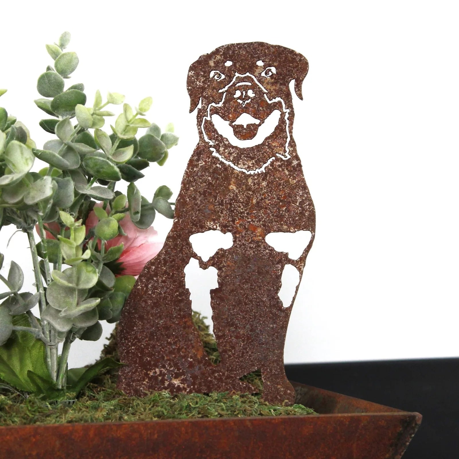Rottweiler metal silhouette in rusted Corten steel with floral accents in a decorative planter.