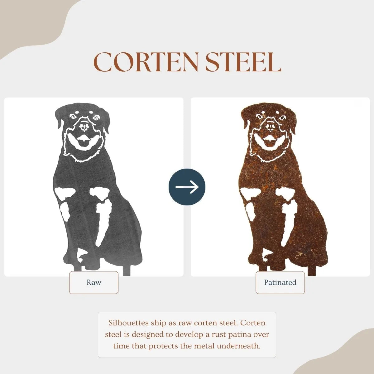 Rottweiler metal silhouette in raw corten steel, showcasing its detailed design and rustic appearance.