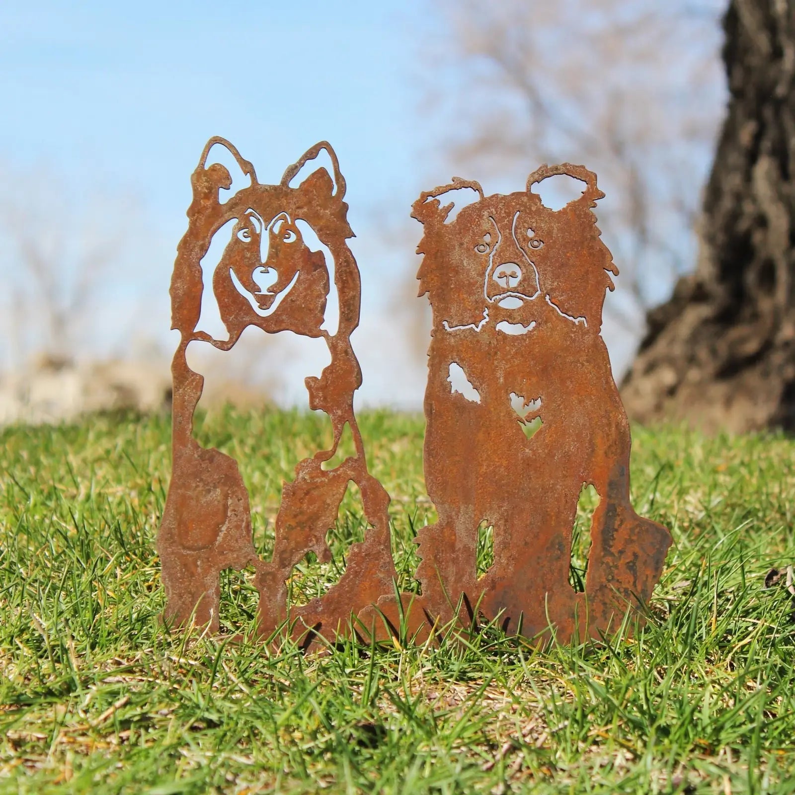 Rusty metal silhouettes of Rough Collies standing on grass, showcasing intricate detailing and rustic charm.