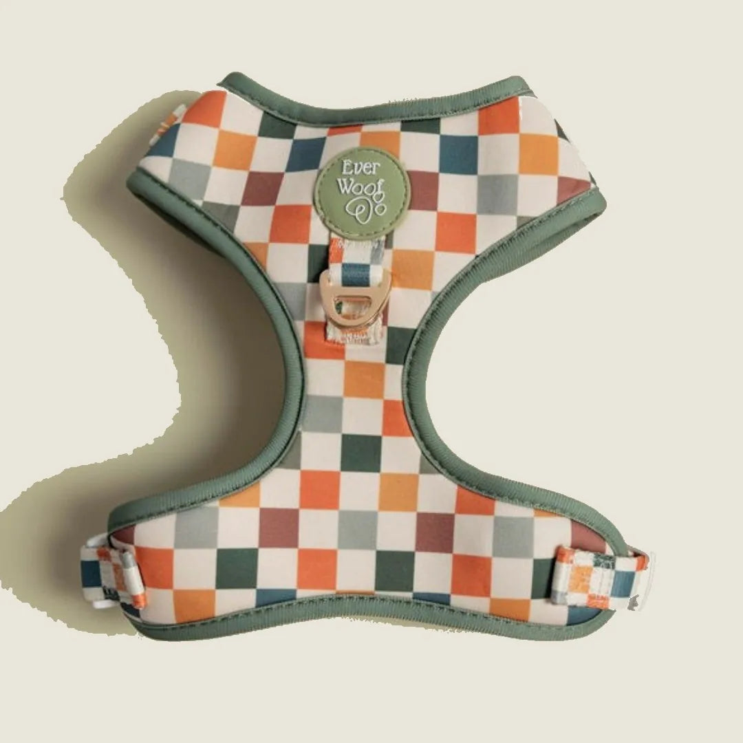 Sage and cider patterned adjustable harness with neoprene padding and green accents, ideal for walking dogs.