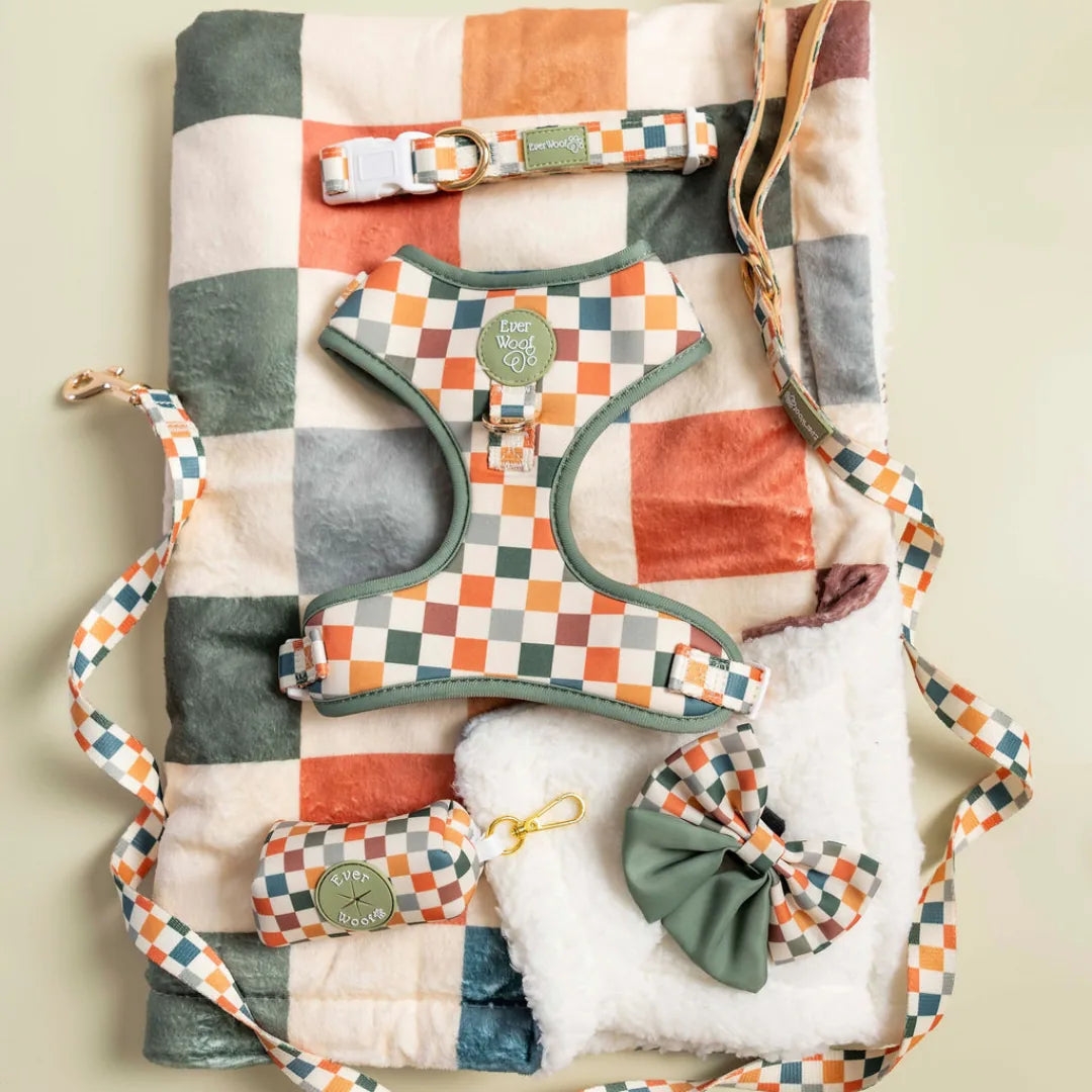 Sage & Cider dog blanket with a cozy checkered harness, leash, and accessories in soft, warm colors and textures.