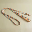 Sage & Cider Leash by EverWoof