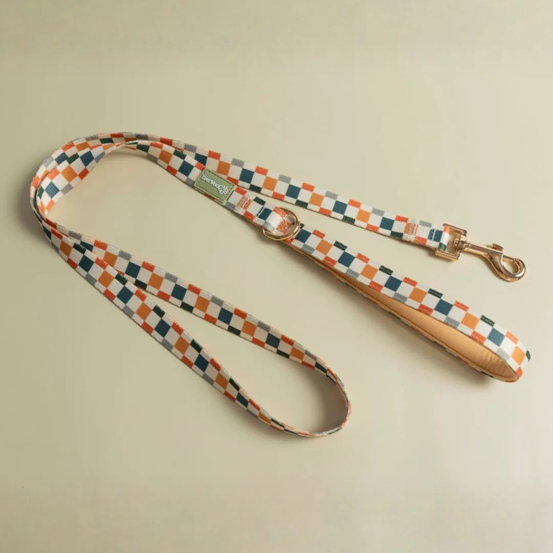 Sage and cider patterned dog leash featuring a zinc alloy clip and neoprene padded handle for comfort.