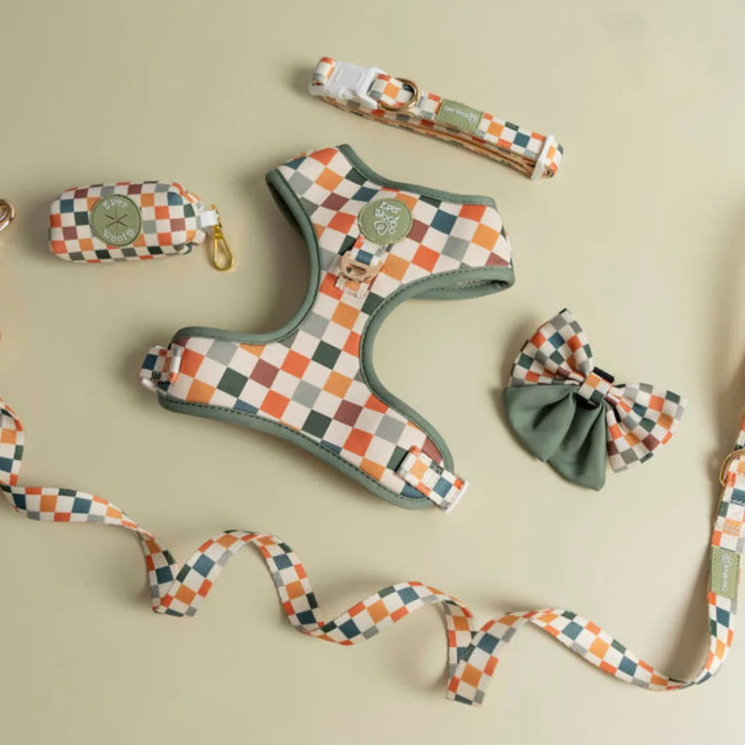 Sage & Cider dog leash and matching harness with playful checkered pattern in green, orange, and cream tones.