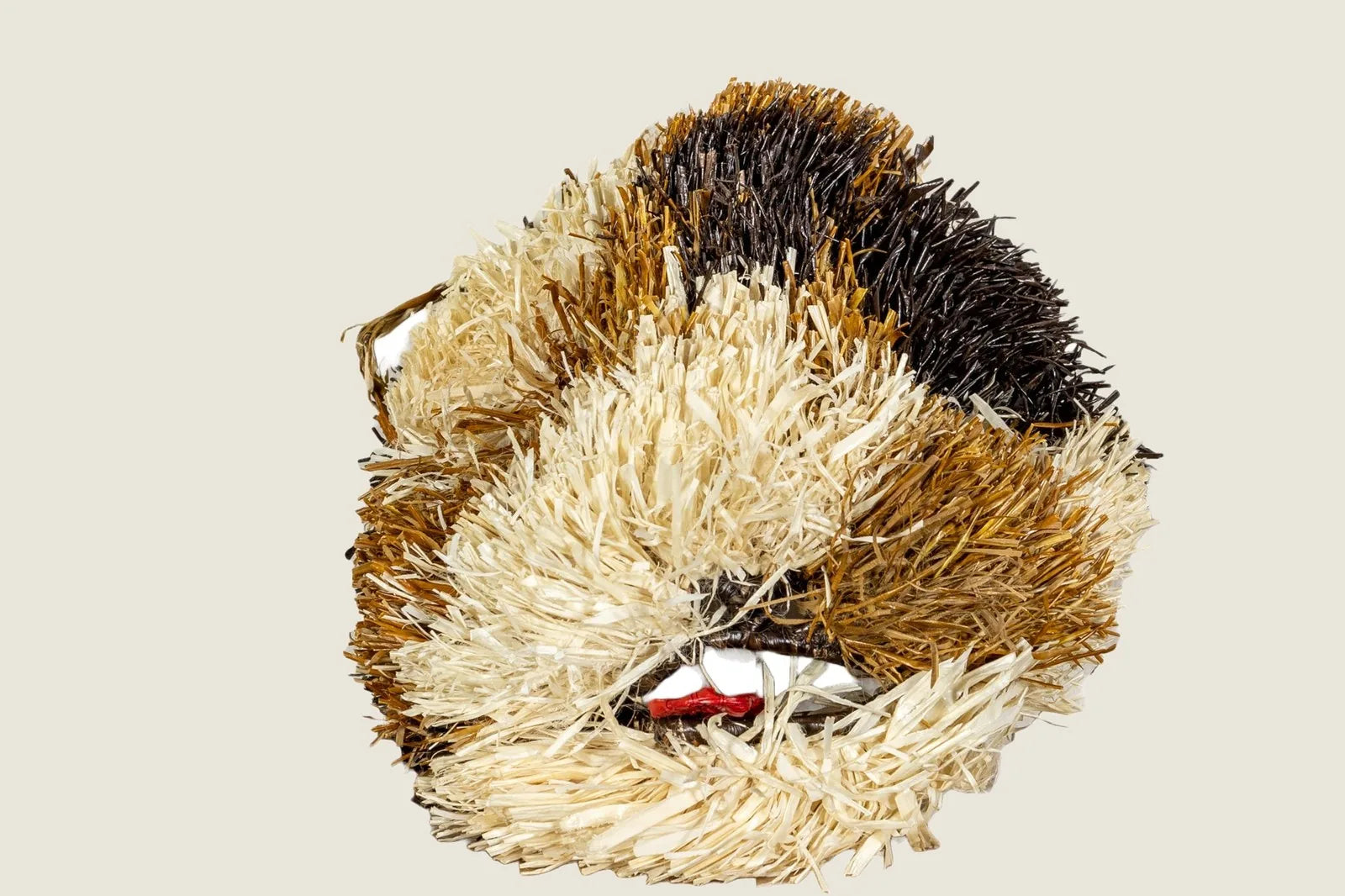 Handwoven Saint Bernard dog mask in earthy tones, showcasing intricate patterns and textures, perfect for wall decor.