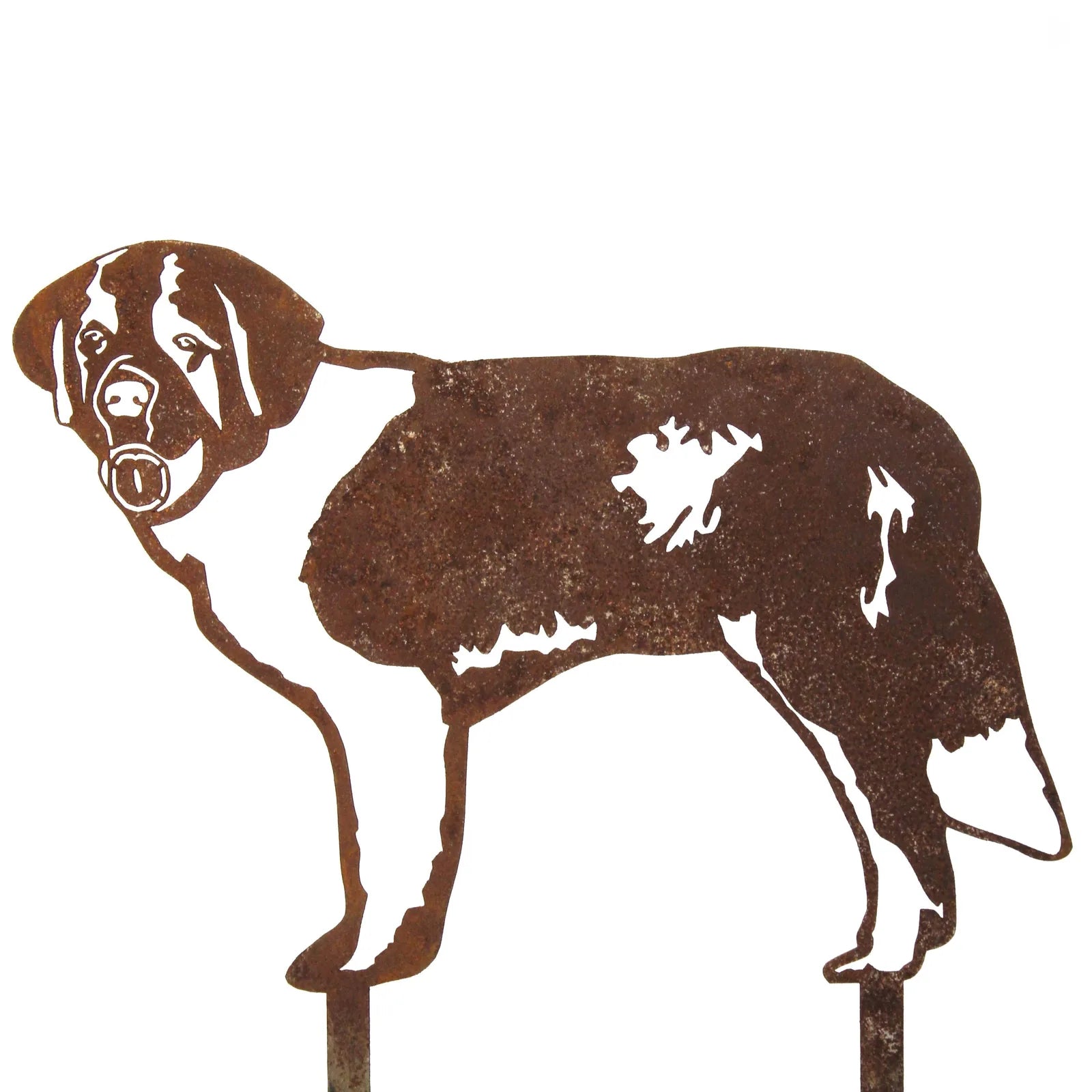 Rusty Corten steel silhouette of a Saint Bernard dog, designed for outdoor decoration, standing on two stakes.