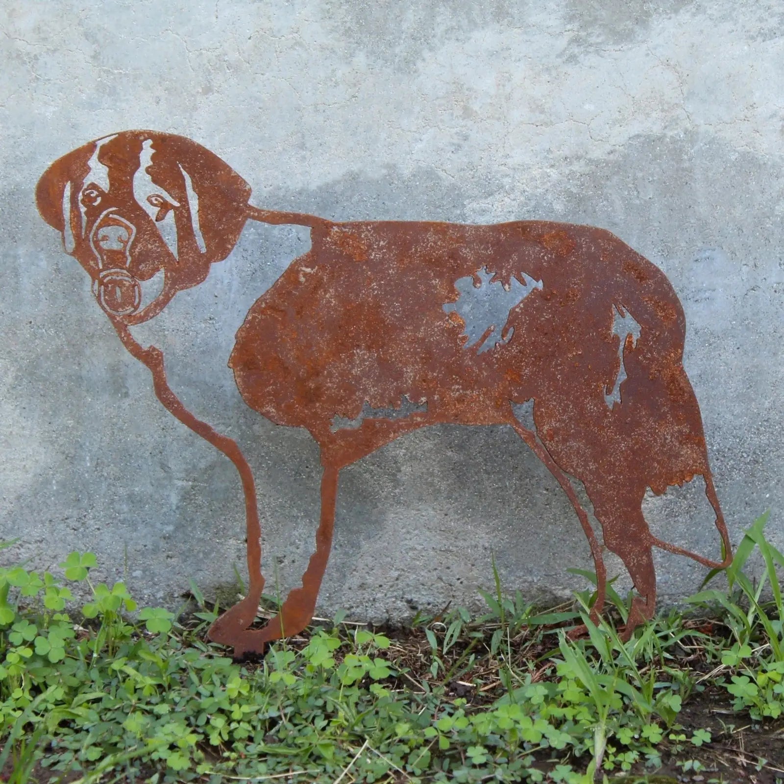 Rusty Corten steel Saint Bernard silhouette, showcasing detailed dog features, set against a textured gray wall and green...