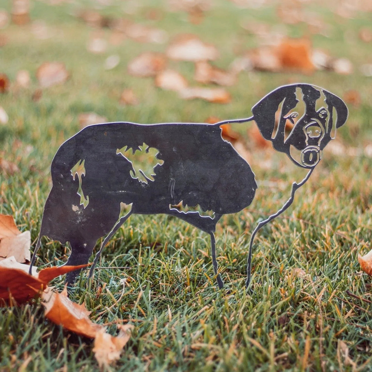 Saint Bernard metal silhouette in Corten steel, set against green grass and fallen leaves, ideal for outdoor decor.