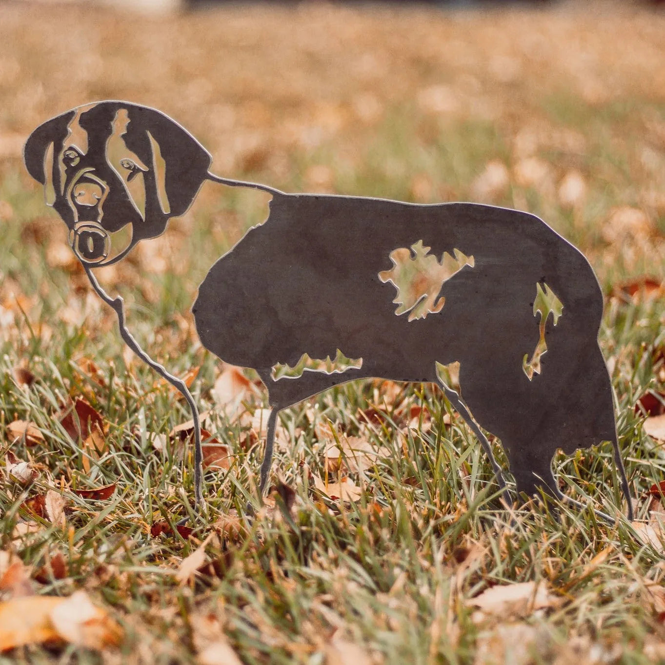Saint Bernard silhouette in weathered Corten steel, standing in grass with fallen leaves. Ideal for outdoor dog decor.