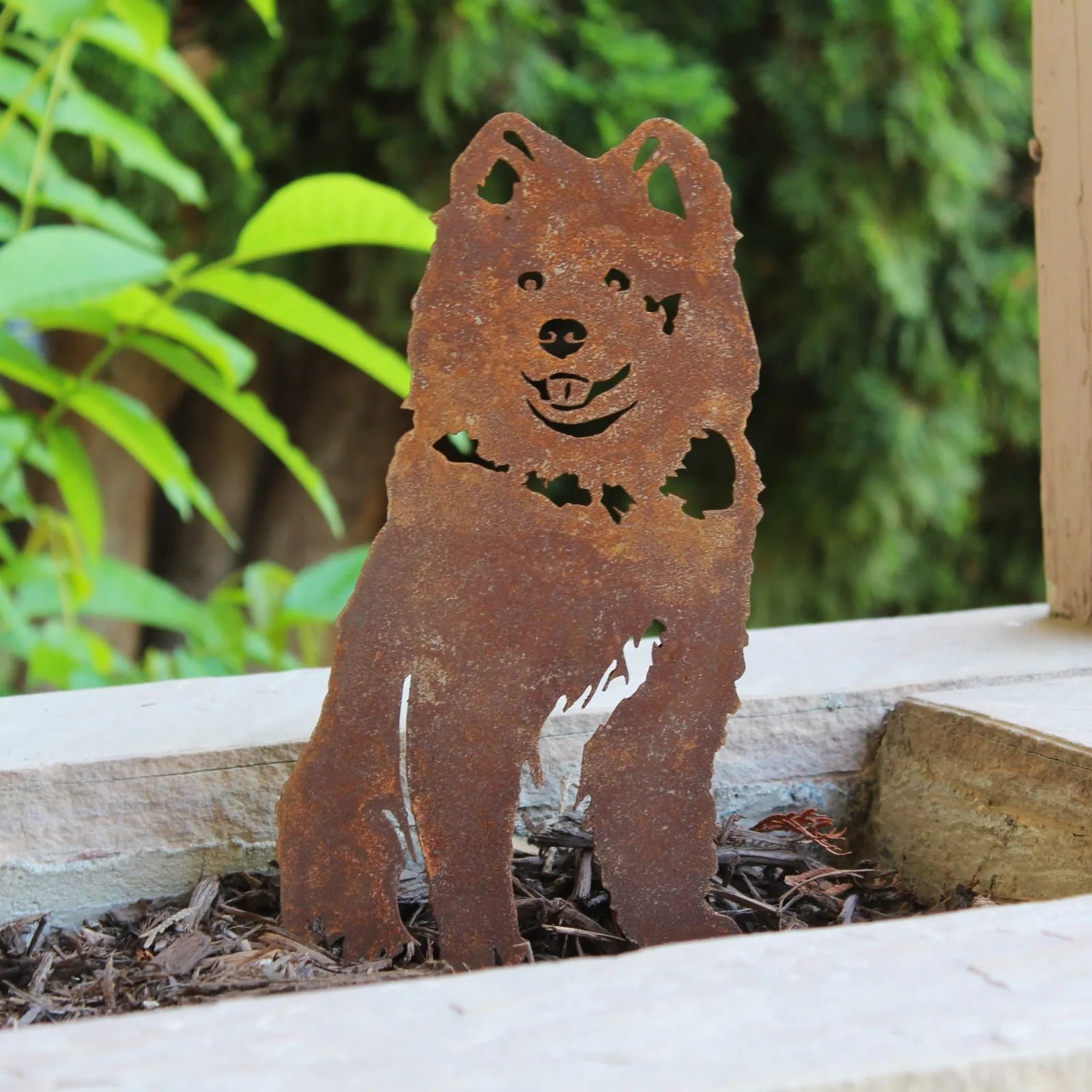 Rusty Corten steel silhouette of a Samoyed dog, showcasing details like ears and a smiling mouth, set in garden mulch.