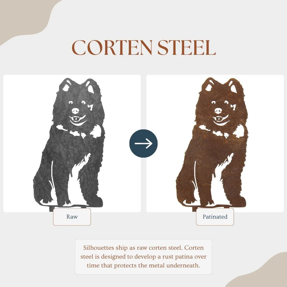 Samoyed metal silhouette shown in raw and patinated corten steel finishes, highlighting its unique rustic appearance.