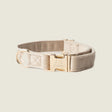 'Sand' - Velvet Dog Collar by FURLOU