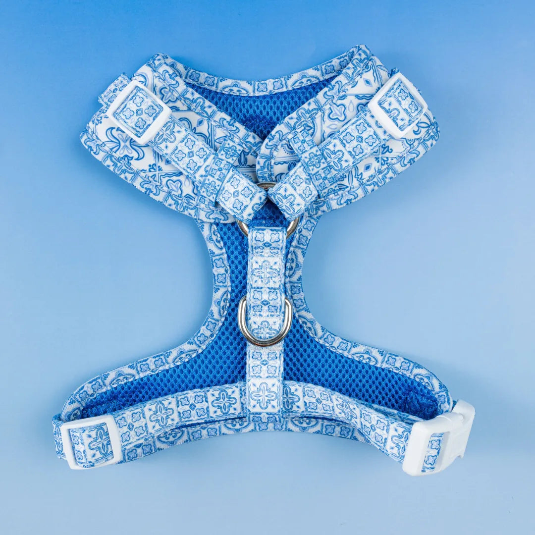 Blue and white patterned Santorini adjustable harness with mesh lining and silver D-ring for leash attachment.