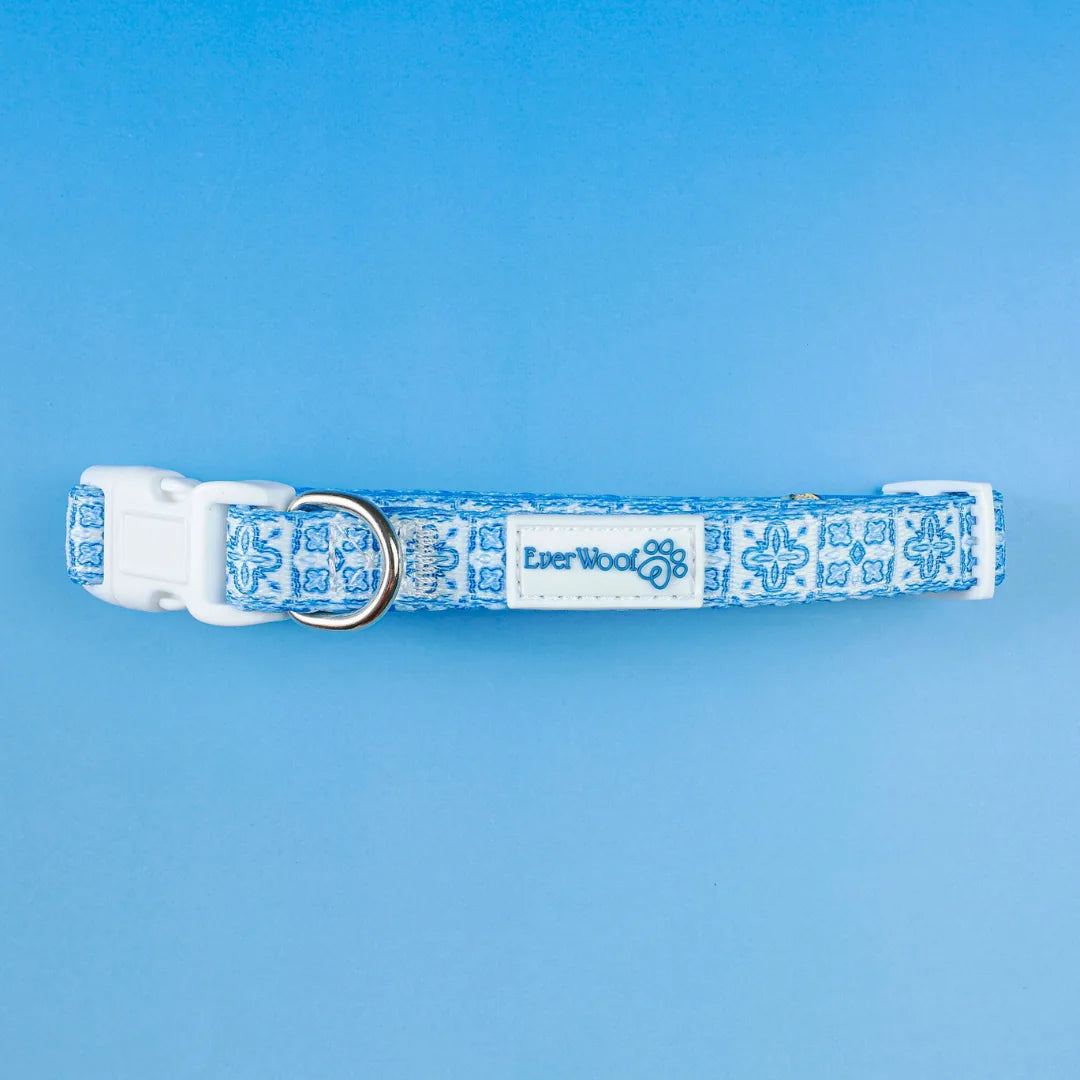 Light blue adjustable dog collar with floral pattern and white buckle, designed for comfort and everyday use.