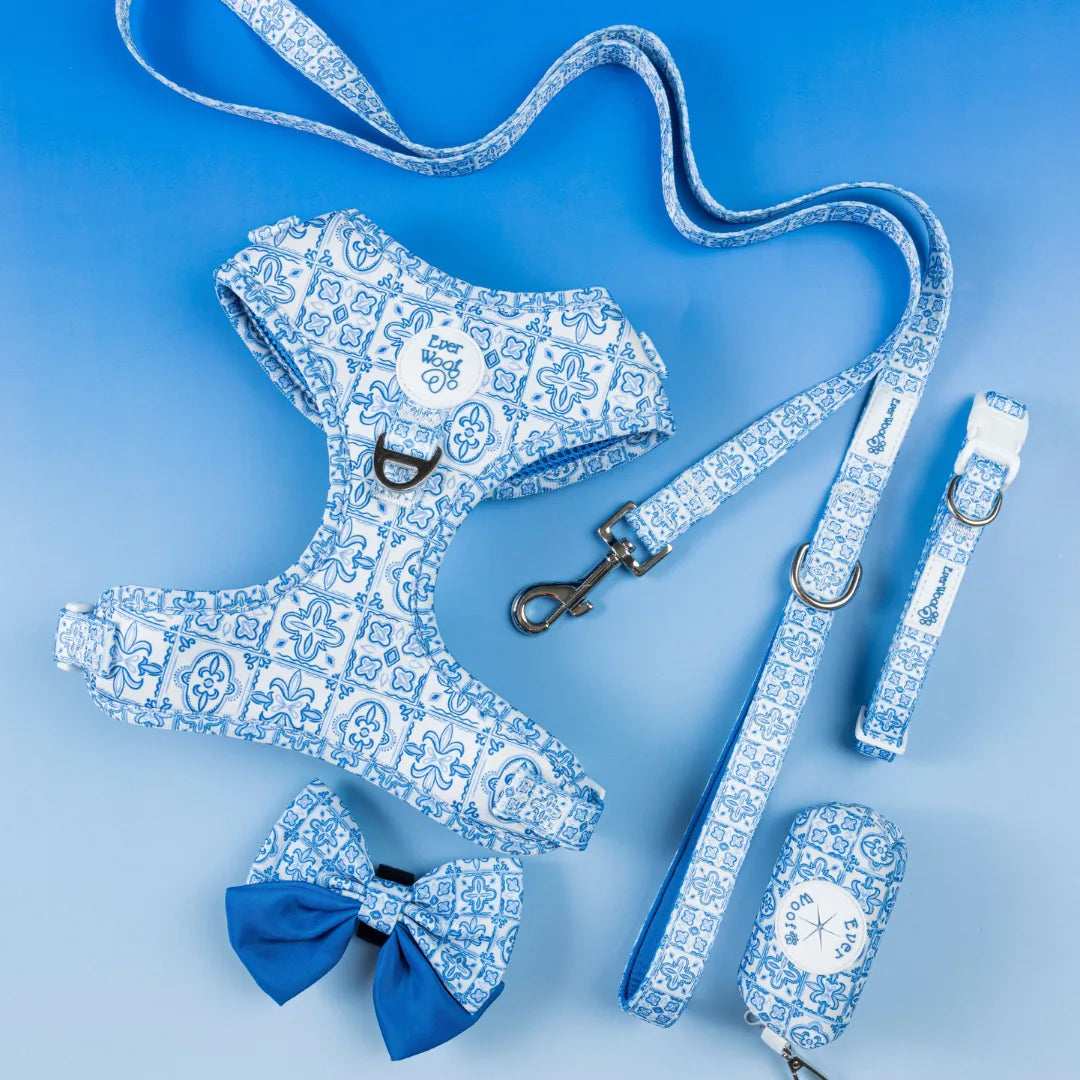 Adjustable blue and white floral-patterned Santorini Collar set by EverWoof, featuring a matching bow and leash.