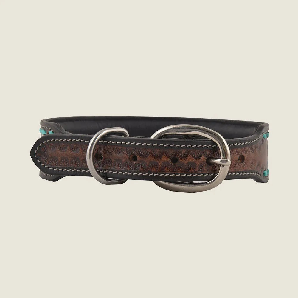 Hand-tooled leather dog collar in brown with turquoise accents, featuring a silver buckle and adjustable length.