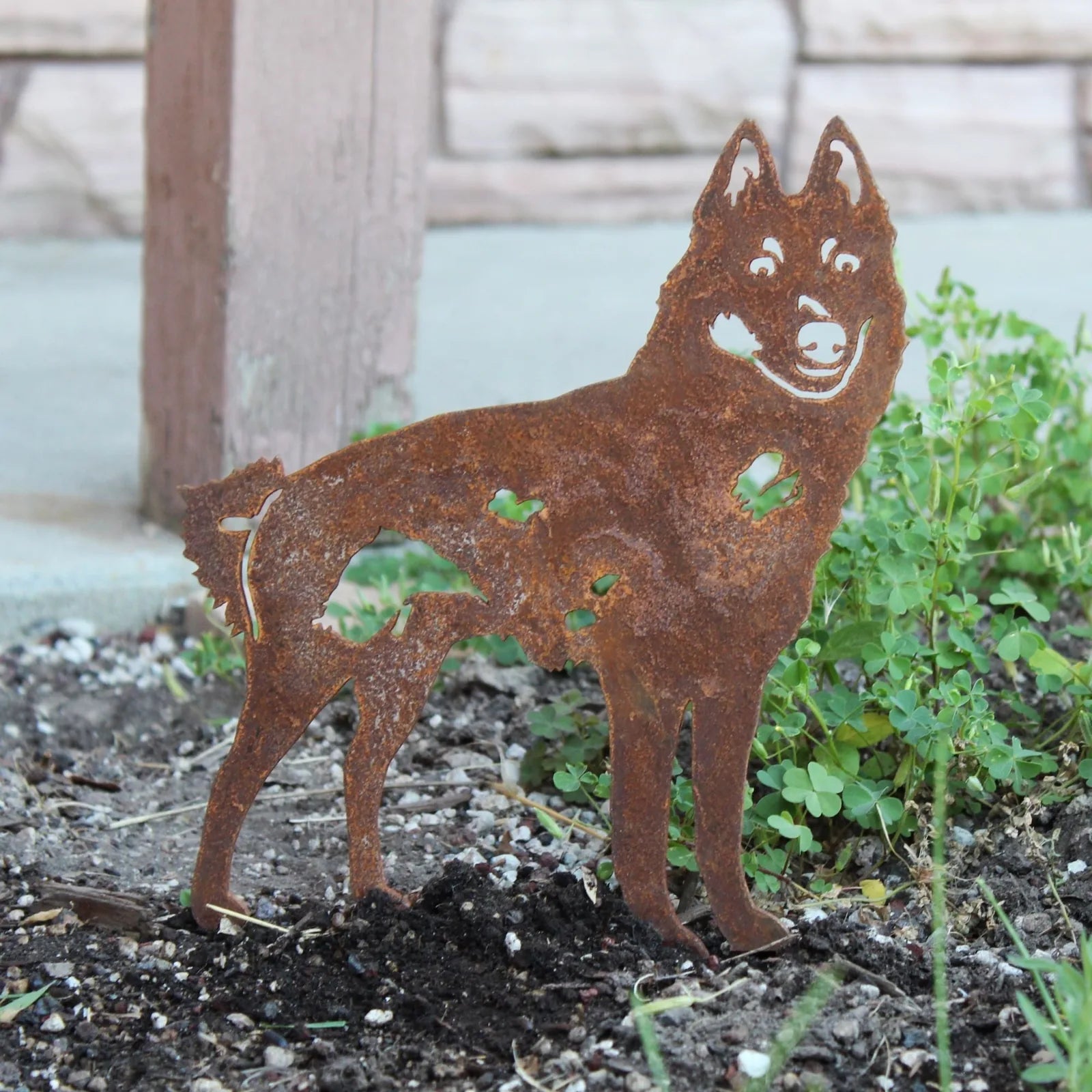 Rusty Corten steel silhouette of a Schipperke dog stands among greenery, adding rustic charm to outdoor decor.
