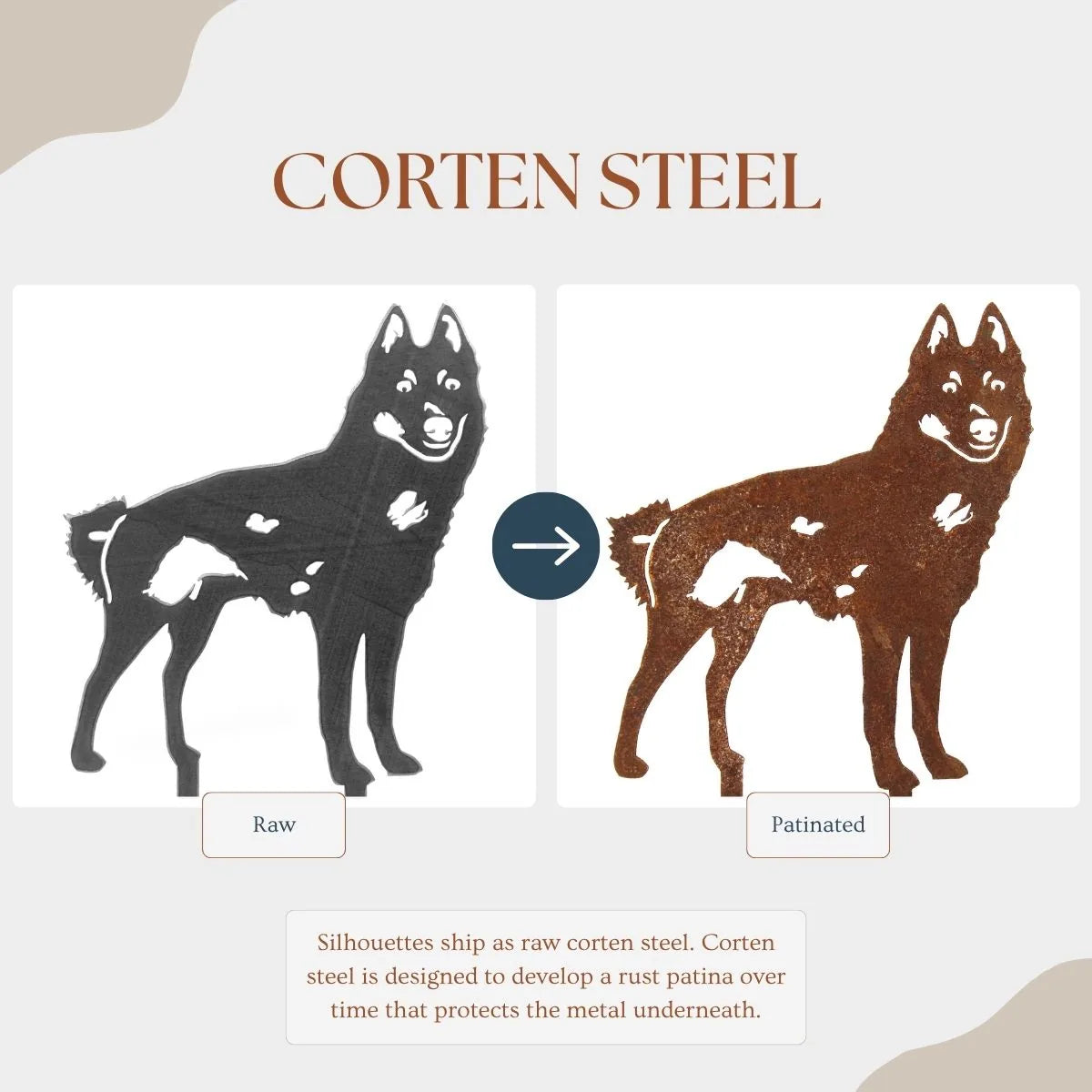 Schipperke metal silhouette showing raw Corten steel on the left and patinated finish on the right, illustrating color cha...