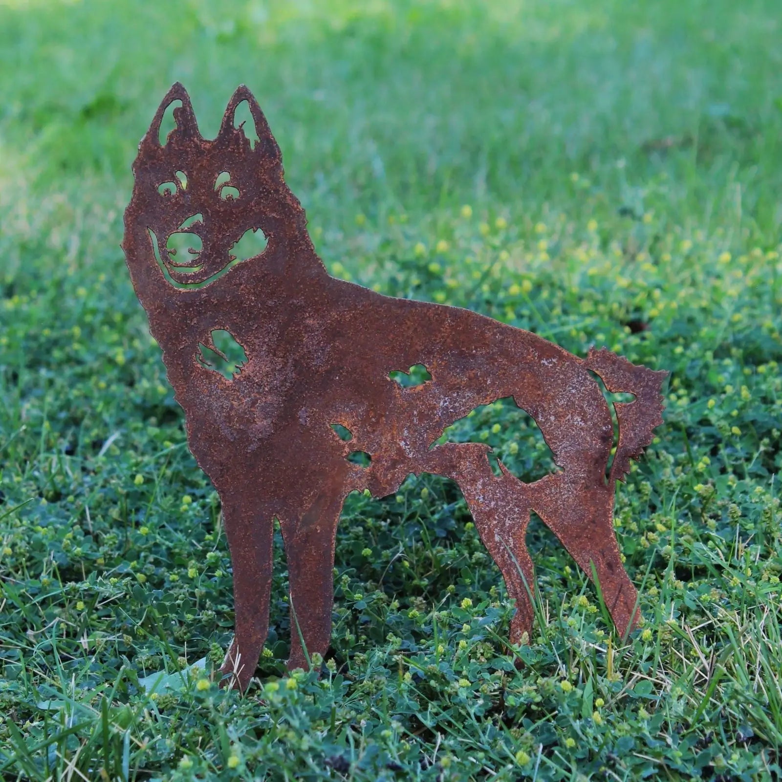 Rusty Schipperke silhouette made from Corten steel in a grassy yard, showcasing rustic dog-themed garden decor.